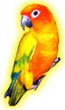 Photo Ad